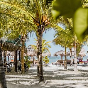 Zomay Beachfront Holbox